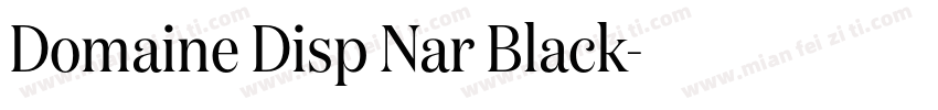 Domaine Disp Nar Black字体转换